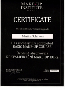 Make Up institute